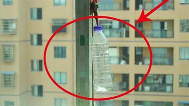 礦泉水瓶不要扔，裝點「水」掛在窗戶邊，作用真厲害，後悔沒有早知道