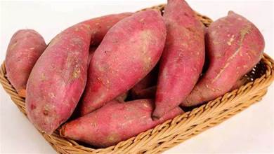 保存紅薯有竅門，老農教你一招，放1年不爛、不發芽，還越放越甜