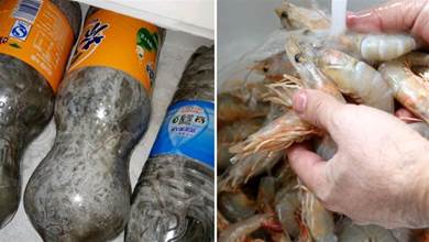 鮮蝦保存有技巧，不要直接放冰箱，學會一招，天天吃新鮮的大蝦